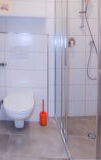 sink, indoor, plumbing fixture, tap, shower, bathtub, bathroom accessory